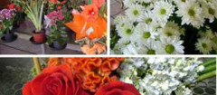 floricultura-xxxx-1391271497