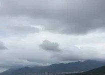 Vitória de Santo Antão