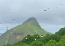 Vitória de Santo Antão