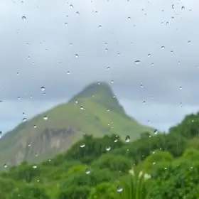 Vitória de Santo Antão