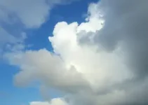 Previsão do Tempo Vitória de Santo Antão