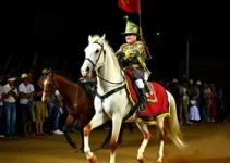Copa de Marcha do cavalo Mangalarga Marchador