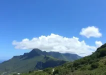 Vitória de Santo Antão