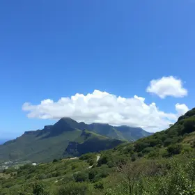 Vitória de Santo Antão