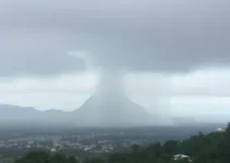 Vitória de Santo Antão