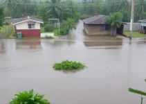 assistência emergencial Pernambuco