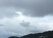 Vitória de Santo Antão
