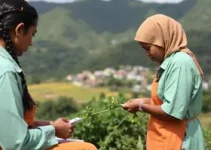 curso gratuito de produção de alimentos